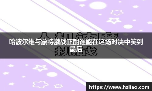 哈波尔维与蒙特激战正酣谁能在这场对决中笑到最后